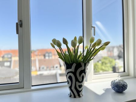 Rantzausgade 14, 4. tv., 9000 Aalborg - Foto 4