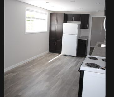 Modern And Spacious 2 Bedroom Basement Suite In St. Albert. - Photo 4
