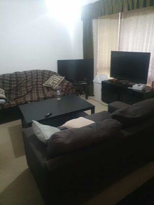 Melrose Park - Photo 1