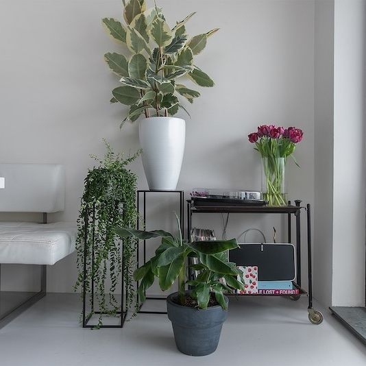 Andreasplein, 1058 GD, Amsterdam - foto 1