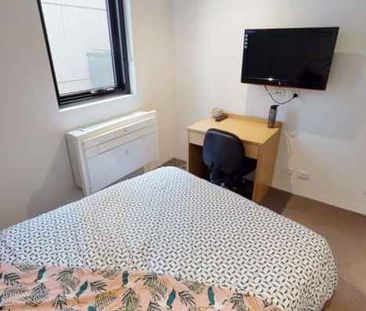 1 Bedroom Large - Photo 2