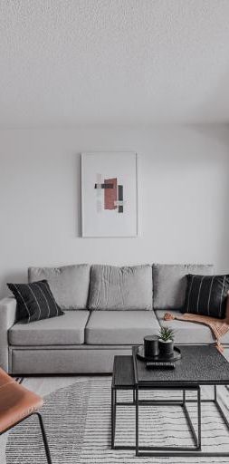 Loft entièrement meublé à louer Saint-Jean-Baptiste février 2026 - Photo 1