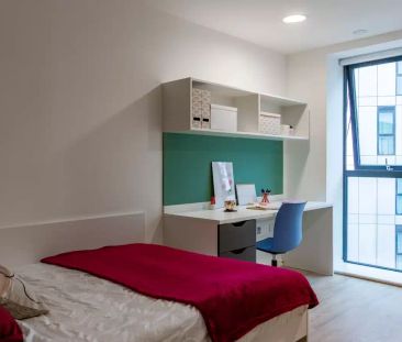 Premium Studio - Photo 6