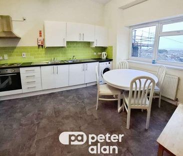 Walter Road, Swansea, SA1 - Photo 4