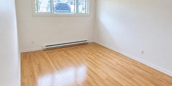 28 Rue Normand (Hull) Grand Logement Tout Près D'Ottawa - Photo 3