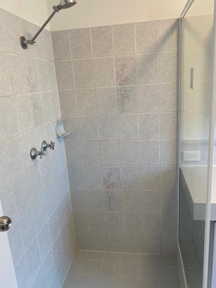 Dianella - Photo 1