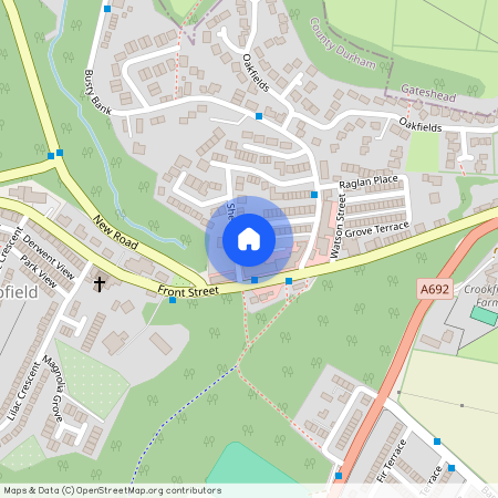 Anderson Court, Burnopfield NE16