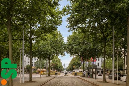 1-slpk-appartement op toplocatie in Antwerp Zuid - Foto 3