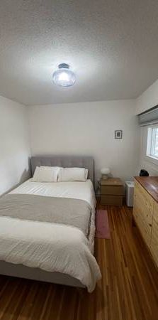 Large pet friendly 1 BED - Photo 1