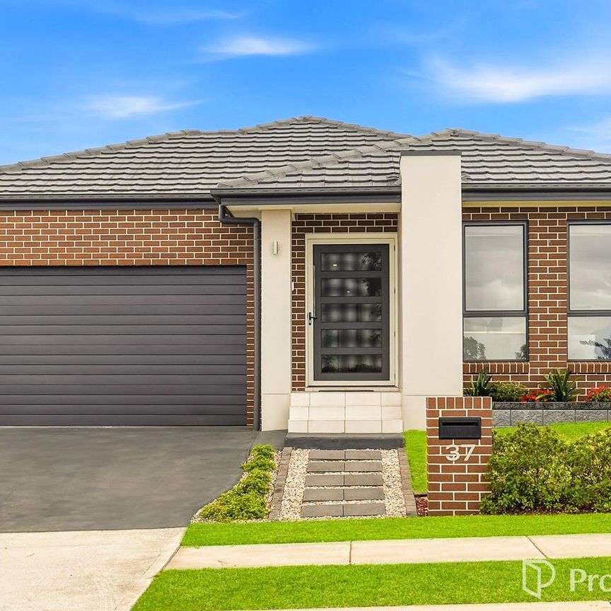 Immaculate Ex-Display Home in Box Hill - Photo 1