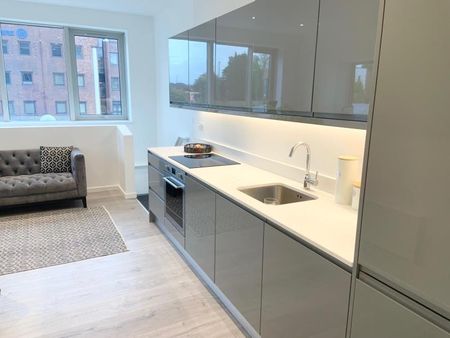 Liongate House, Guildford, Surrey, GU1 - Photo 3