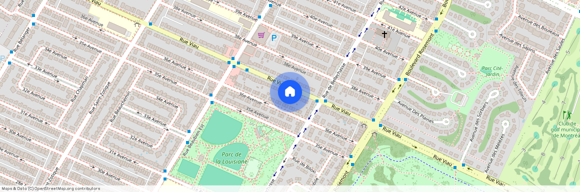 6244 Rue Viau, Montréal (Rosemont/La Petite-Patrie), H1T2Y6