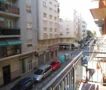 Elche / Elx - Photo 1