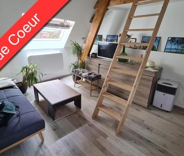 Location Appartement 1 pièce 20m² DIJON 21000 - Photo 1