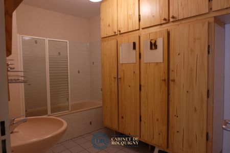Location Appartement 1 pièce 36m² ORLEANS 45000 - Photo 5