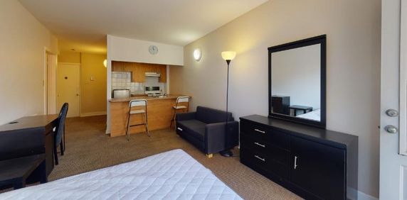 GHETTO MCGILL- 3 ½ RÉNOVÉ & MEUBLÉ – 1 CHAMBRE FERMÉE - Photo 2