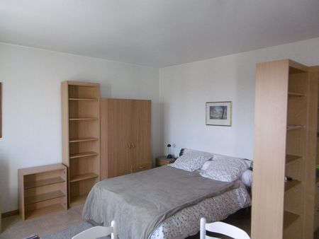 Location Appartement 1 pièce 37m² - Photo 3