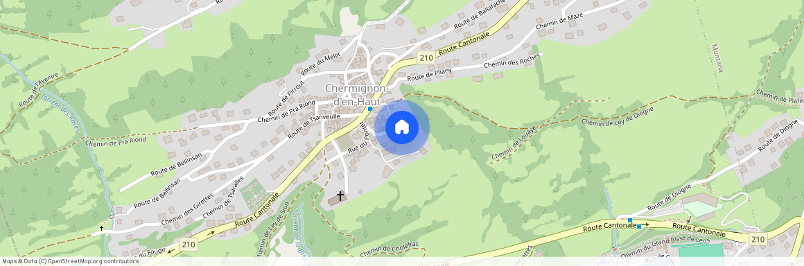 3971, Ollon VS, Route Du Revers, 2