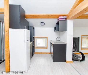 Location Appartement 1 pièce 28m² CHATTE 38160 - Photo 2