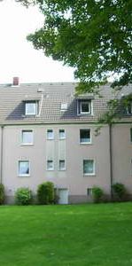 Weihnachtsfest im neuen Nest? - Photo 2