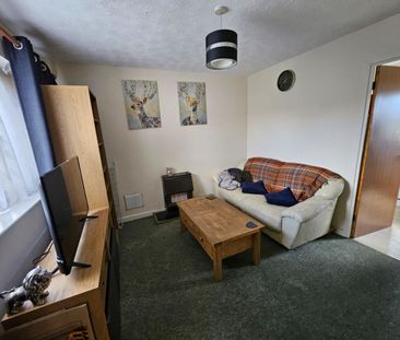 Watch Elm Close - Photo 2