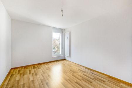 Just a few minutes from the Rhine River - Photo 4