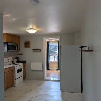 Downtown toronto(Dufferin&College) 4br apt. - Photo 3