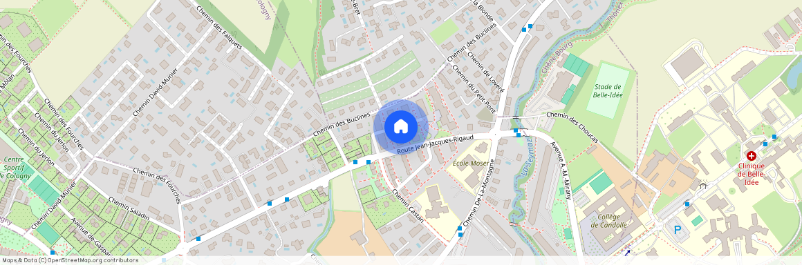 Chemin de l'Armoise 6, 1224 Chêne-Bougeries