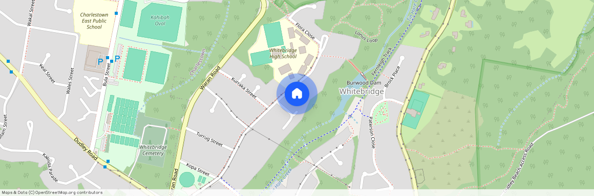 36 Lonus Avenue, NSW 2290, Whitebridge