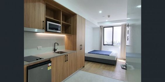 Impressive Studio Moments from the Beach & Shops - Photo 3