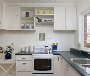 Cute on Collingwood - Photo 4