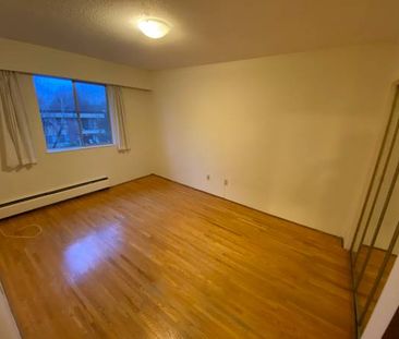 Beautiful 1 Bedroom Apartment - Photo 2