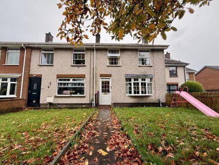 42 Drumard Drive, Lisburn, BT28 2HY - Photo 3