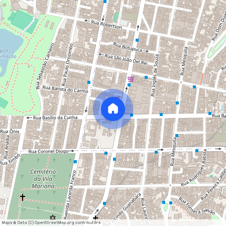Rua Basílio da Cunha - até 399/400, Vila Deodoro, São Paulo, SP, 01544000