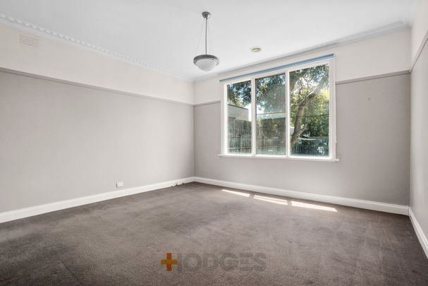 Stylish Californian Looking Into The Sun - Photo 1