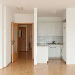 Provisionsfrei - Helle 88m2 große 3-Zimmer Wohnung im Grünen (inkl. 15m2 Terrasse), toller Blick über Wien, in Toplage des 13. Bezirks / Lainzer Tiergarten - PRIVAT, KEINE MAKLER! - Photo 2