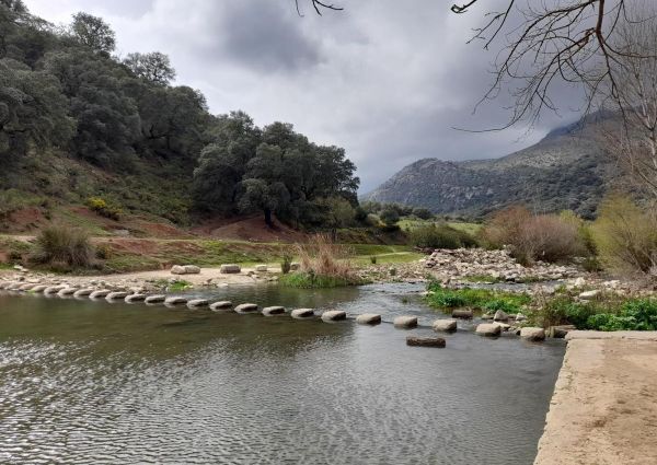 Terraced house - Benaojan