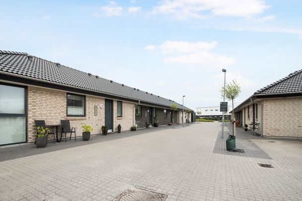 Dybsøhaven 15 - Photo 1