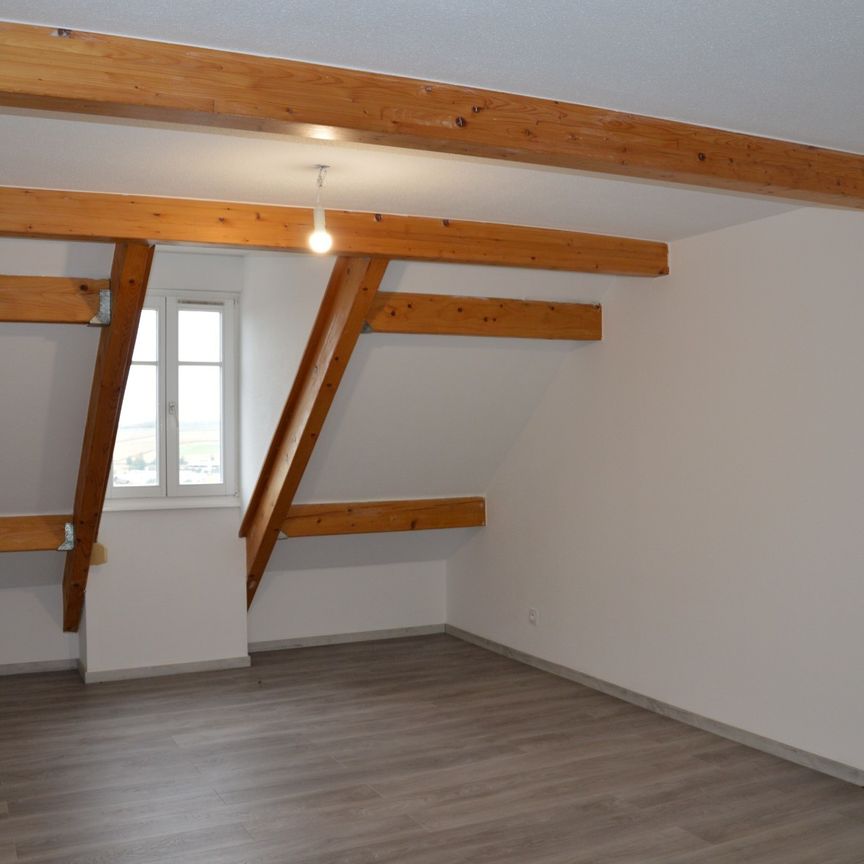 Location Appartement 3 pièces 74m² ALTKIRCH 68130 - Photo 1
