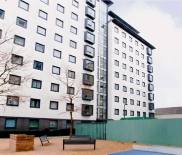 Large Studio - Photo 1