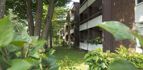 3 1/2 Ste-Foy - Tout inclus - près du cégep Garneau - 1er janvier - 1er ou 3e étage (ascenseur) - Photo 2