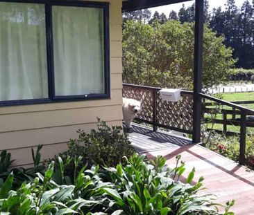 Beautiful Rural Location - Photo 2