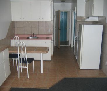 1 1/2 - Montréal (Le Plateau Mont-Royal) - 1 150 $/mois - Photo 2