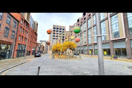 Studio Flat, Gradwell Street, L1 - Photo 2