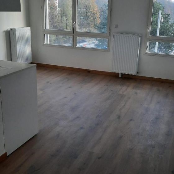 Louer colocation 1 pièce de 25 m² - Photo 1