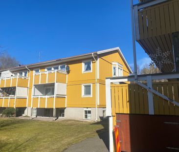 Håle Kusthus 2B - Photo 2
