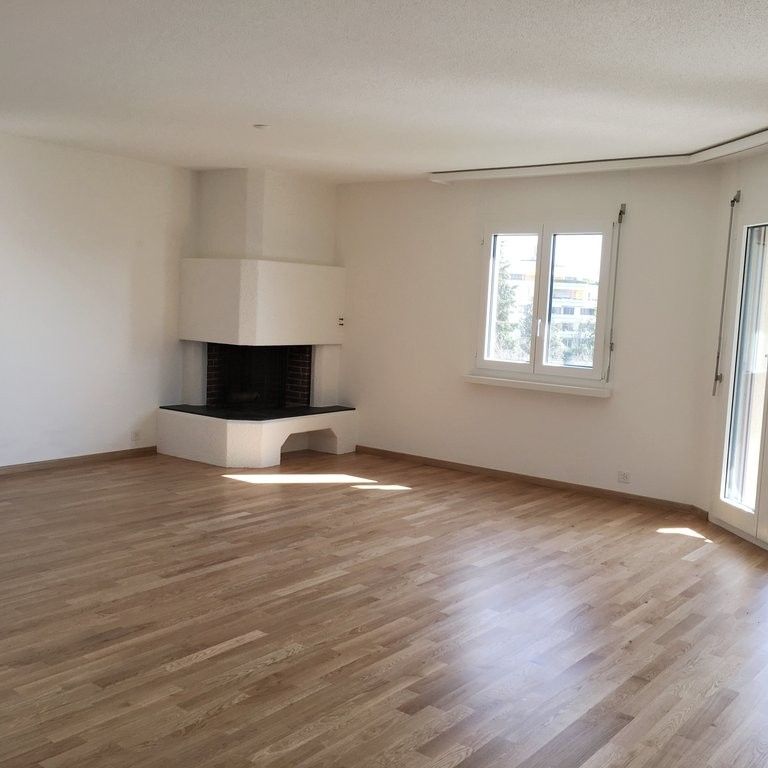 MIETEN OHNE KAUTION - Grosszügige Wohnung mit Blick auf den Zürichsee - Foto 1