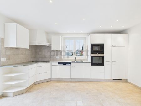 Magnifique Maison de Caractère rénovée au CSur du Village de Collex-Bossy Charm, comfort and Mont-Blanc view - Photo 4