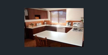 Pool and powered shed - Photo 2