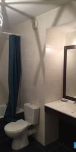 STUDIO MEUBLE - 29.55 m2 - 28 rue de la cité LYON 03 Lyon (69003) - Photo 4
